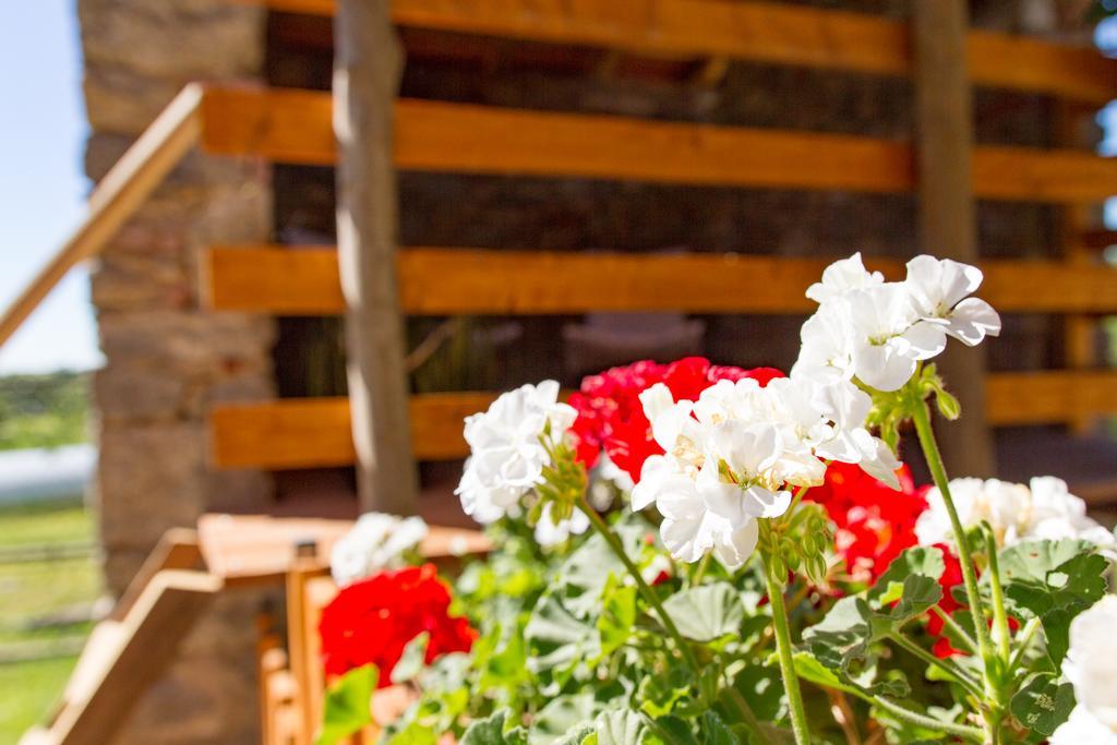 Cascinetta32 Villa Invorio Inferiore Dış mekan fotoğraf