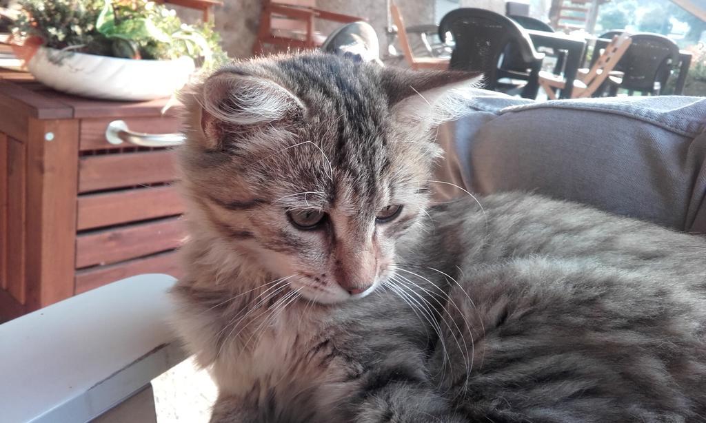 Cascinetta32 Villa Invorio Inferiore Dış mekan fotoğraf